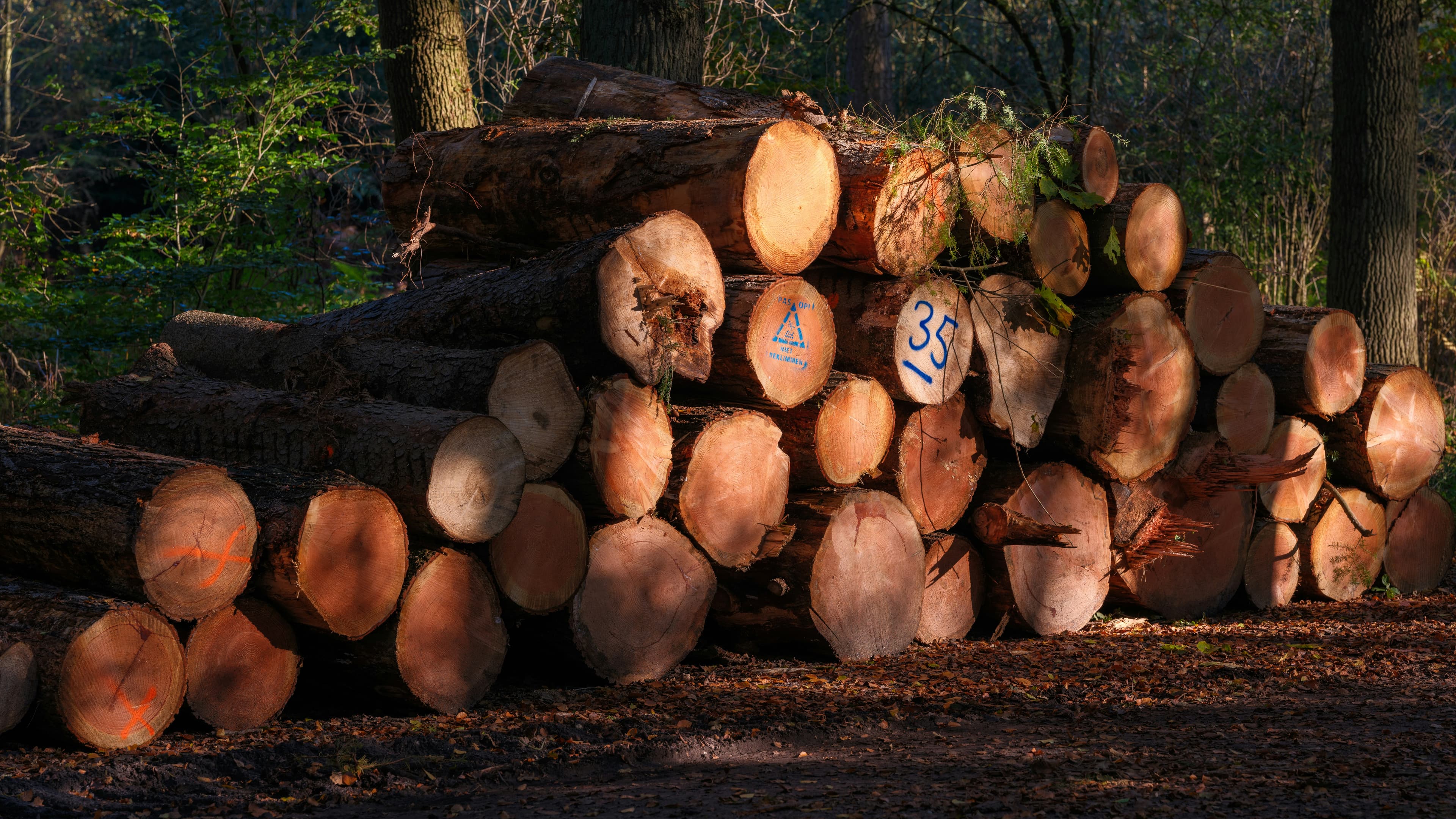 Corporate Campus Landscaping
